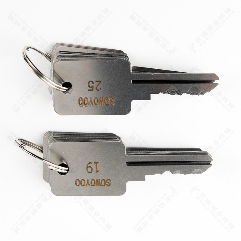 Power Key Tools - 48 In 1 Master Keys Multi