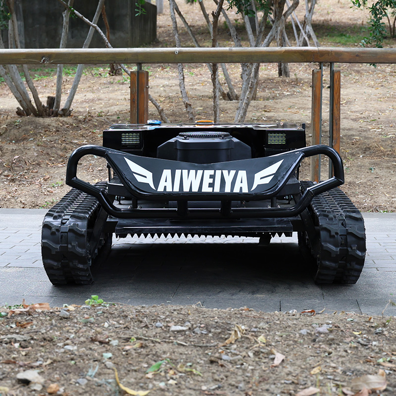 Tagliaerba semovente personali - Power Tools Store recensione e prezzo