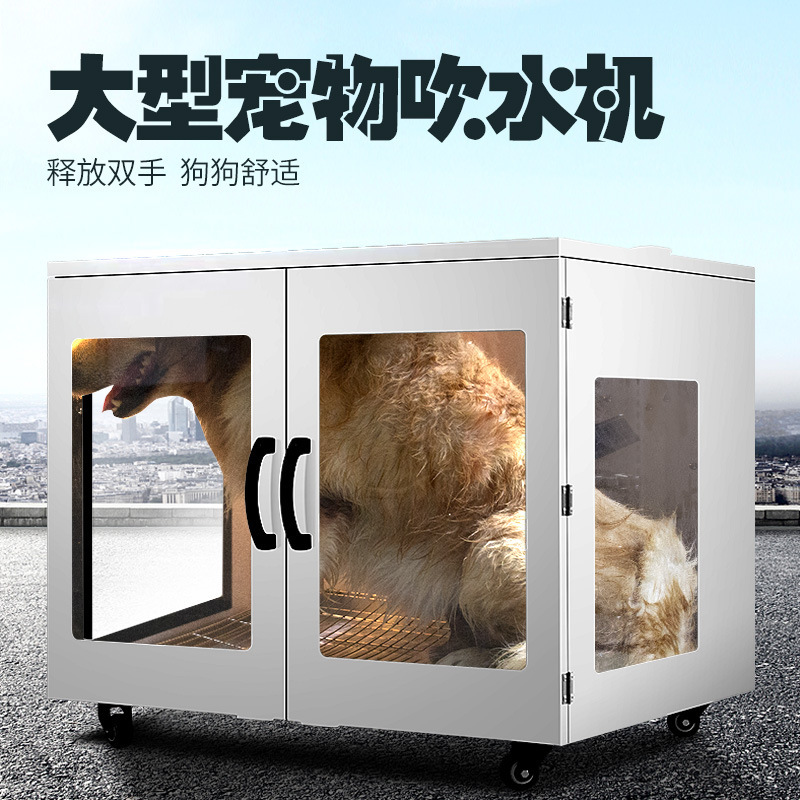 Asciugatrice per animali domes - Power Tools Store recensione e prezzo