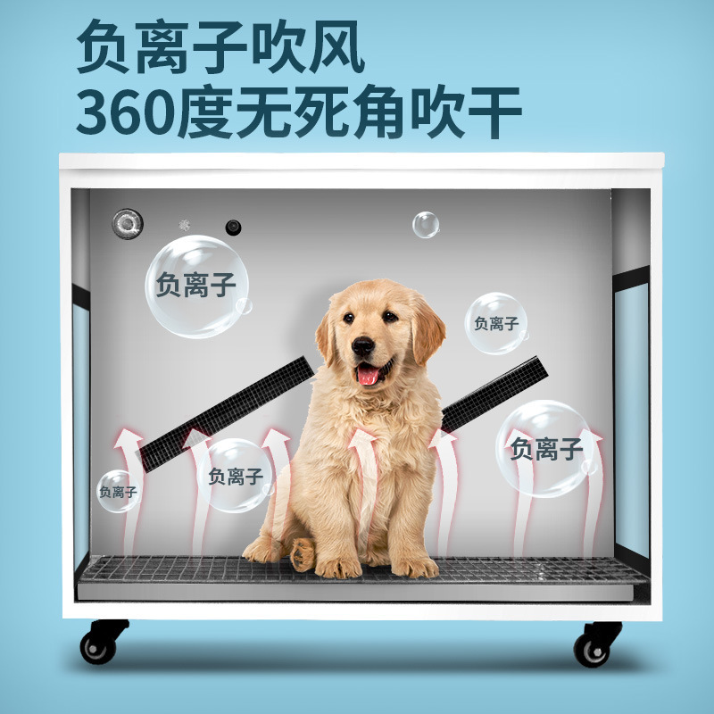 Asciugatrice per animali domes - Power Tools Store recensione e prezzo